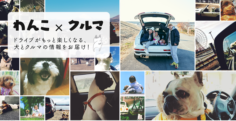「わんこ×クルマ」ドライブがもっと楽しくなる、犬とクルマの情報をお届け！